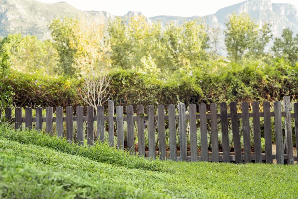 Stihl Lawn Mowing 61