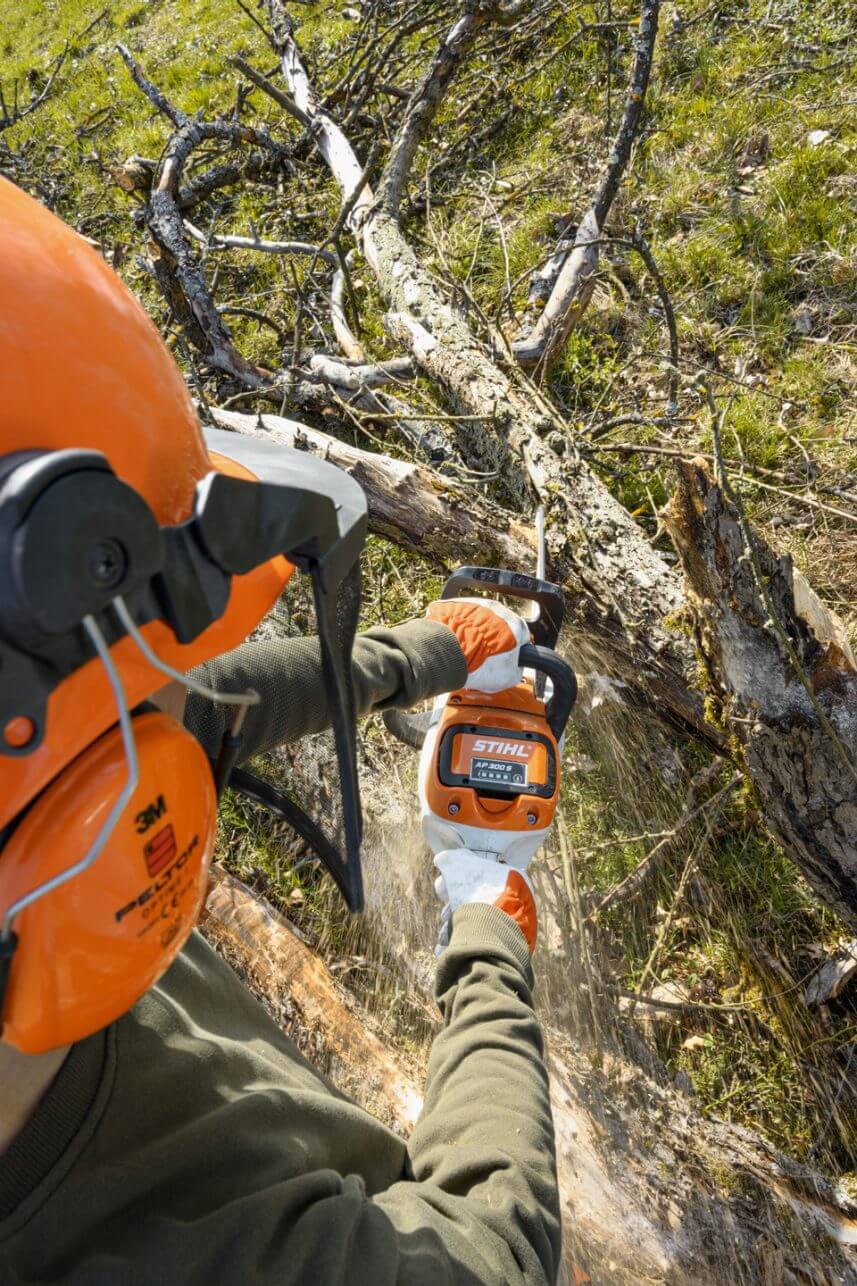 Stihl Battery Memory Effect 21
