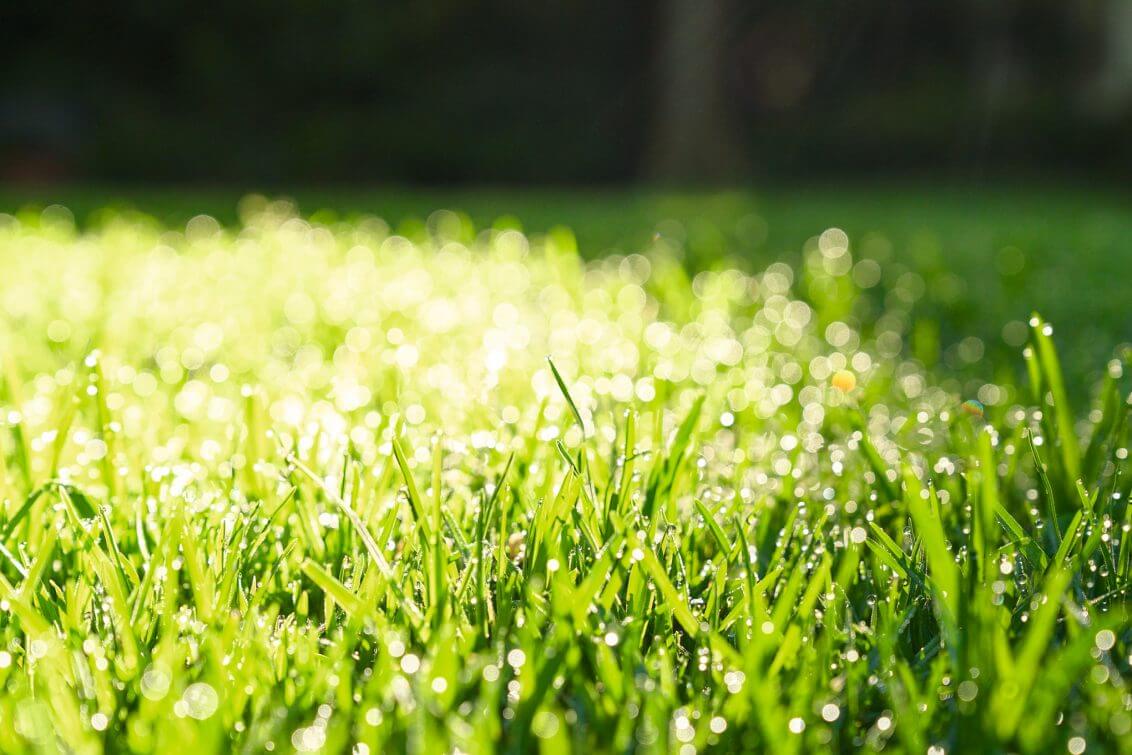 Stihl Lawn Installation 151